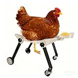 ANIMOASIS Medium-Scale Pet Chicken Wheelchair - Adjustable Mobility Aid Cart for Injured/Disabled Poultry, Comfortable Fit to Support Free Movement, Ideal for Medium-Sized Pet Chickens