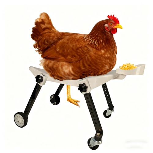 ANIMOASIS Medium-Scale Pet Chicken Wheelchair - Adjustable Mobility Aid Cart for Injured/Disabled Poultry, Comfortable Fit to Support Free Movement, Ideal for Medium-Sized Pet Chickens