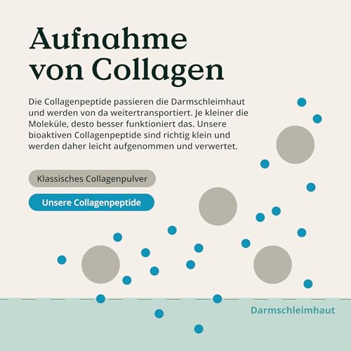 NATURE LOVE® Premium Collagen Pulver - 500g Kollagen - Peptide Type 1 und 3 - von Rindern aus Weidehaltung - Geschmacksneutral - ohne Zuckerzusatz & Süßungsmittel 4