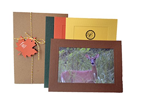 Fall collection - 24 Photo Insert Cards Collections by Plymouth Cards