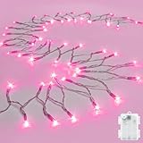 cshare String Lights Outdoor Waterproof 9.8ft 30 LED, Pink Fairy Lights Battery Operated with Timer Clear Wire for Indoor & Outdoor Christmas Valentine's Day Decorations Garland Party Garden