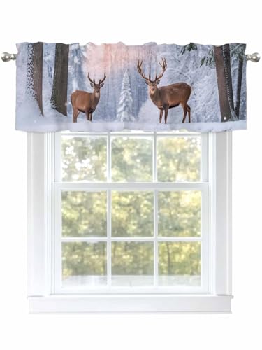 Dexnympq JtFJ[e p ~ g NX}X ̌ |p GN J[e  Ց UVJbg ՔM ډBɂ bh|Pbg 􂦂 Lb`  gC q iX ʏ X܏ y 1 