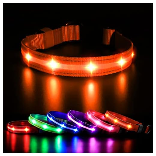 MASBRILL Upplyst hundhalsband med USB-laddningsbart, LED-hundhalsband vattentätt med 10 timmars driftstid, justerbart blinkande halsband för små medelstora hundar (orange, S)