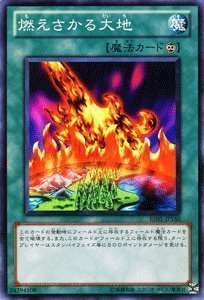 ✅✨BEコンプリート(ノーマル以外)❗️2004年版ビギナーズエディション1 2 ビギナーズエディションの値段と価格推移は？｜846件の売買