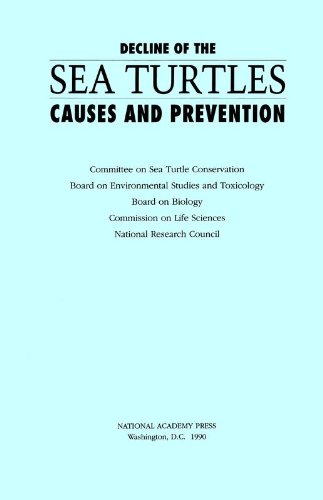 Decline of the Sea Turtles: Causes and Prevention