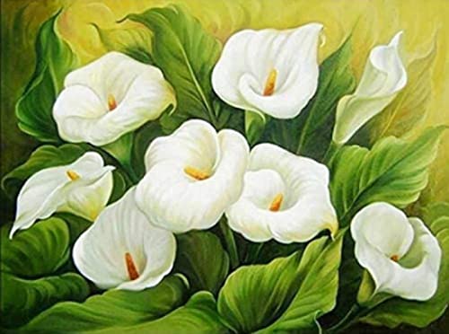 Point de croix broderie démarrage kits fleurs blanches toile imprimée 11CT