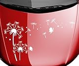 für Wände (feine Raufaser und Putz, normale Tapeten, Wandfliesen), Türen, Spiegel