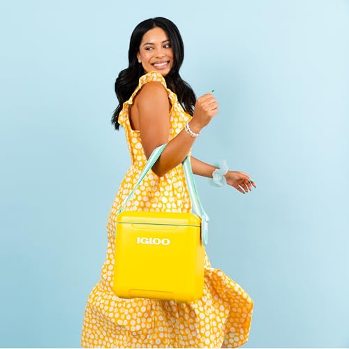 Hielera igloo chica Marca Igloo (3)