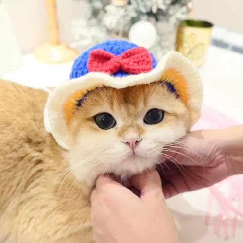 Shnmersy LXq 蕨 RXv ybgpXq jbgX ҂ nEB  ʔ ڂɗ ANZT[ Lp p RX`[X EȒP ϐg Be