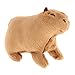 T TOOYFUL Simulation Capybara Jouets, Animal en Peluche Animaux de La Vie Réelle Faune Mignon Chiot Doux en Peluche Peluche Poupée pour Décor Cadeaux Au Coucher