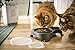 Rotho MyPet Sally Doppel Futternapf mit Deckel, Kunststoff (PP) BPA-frei, anthrazit, 1l + 0.28l (32.0 x 23.7 x 7.0 cm)