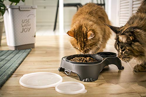 Rotho MyPet Sally Doppel Futternapf mit Deckel, Kunststoff (PP) BPA-frei, anthrazit, 1l + 0.28l (32.0 x 23.7 x 7.0 cm)
