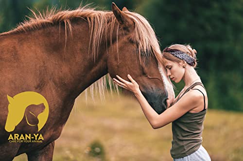Aran-ya Anti Schorf-Salbe für Tiere 100g, bei Wunden/Krusten, nimmt den Juckreiz, fördert schnelle Heilung/Wundregenerierung, das Fell kann Wieder wachsen, rein natürliche Inhaltsstoffe