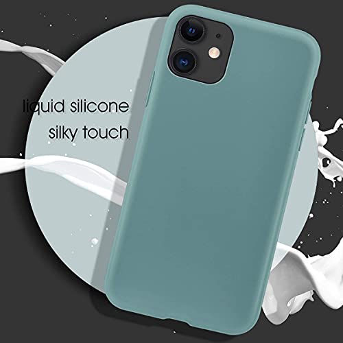 Image of DIZORO Silicone Back Case for iPhone 11, Soft-Touch Phone Microfiber Silicone Back Cover for iPhone 11 - Cactus