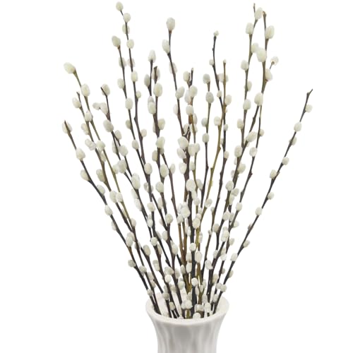 ACRYCS 20 Pcs Natural Preserved Dried Flowers Real Pussy Willow Branches for Vases Tall Artificial Pussywillow Stems 19.7 White Snow Pussywillows for Home Decor Indoor Wedding Party Hotel Fireplace