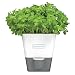 COLE & MASON Self-Watering Indoor Herb Garden Planter - Pot