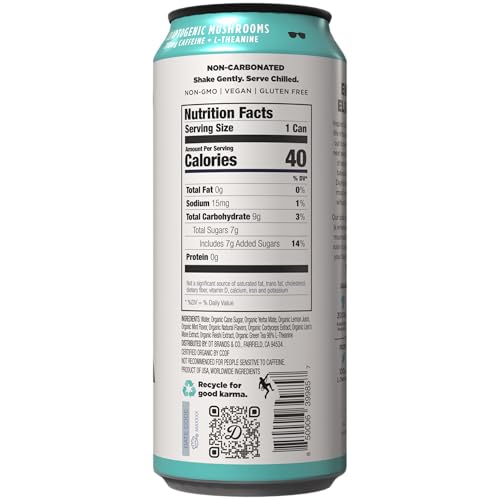Image of Daytrip Organic Yerba Mate Energy Drink- Clean, Plant Based Caffeine (200mg) with Adaptogenic Mushrooms and Green Tea for Focus and Brain Fog - Low Calorie, Low Sugar (12 Pack Case)