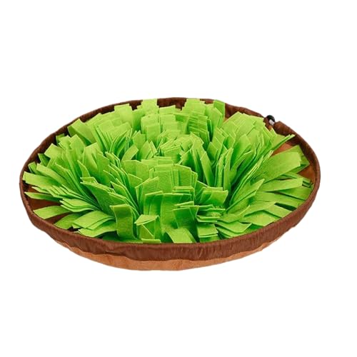 qpXjt}bg,]g C^NeBu | pXjt}bg ̐Hpbh,rO[ s  oRj[ Ap[g ^ ^ ^p