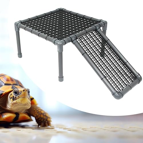 Dragons barbus et petits repti : plateforme de bronzage stable - 5