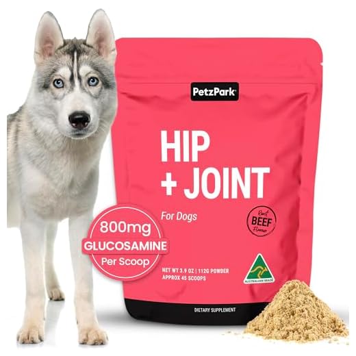 Petz Park Hip + Joint for Dogs 45 Scoops, Glucosamine for Dogs with Chondroitin and MSM, Dog Hip and Joint Supplement for Mobility Support, Dog Food Topper Powder for Joint Health and Flexibility
