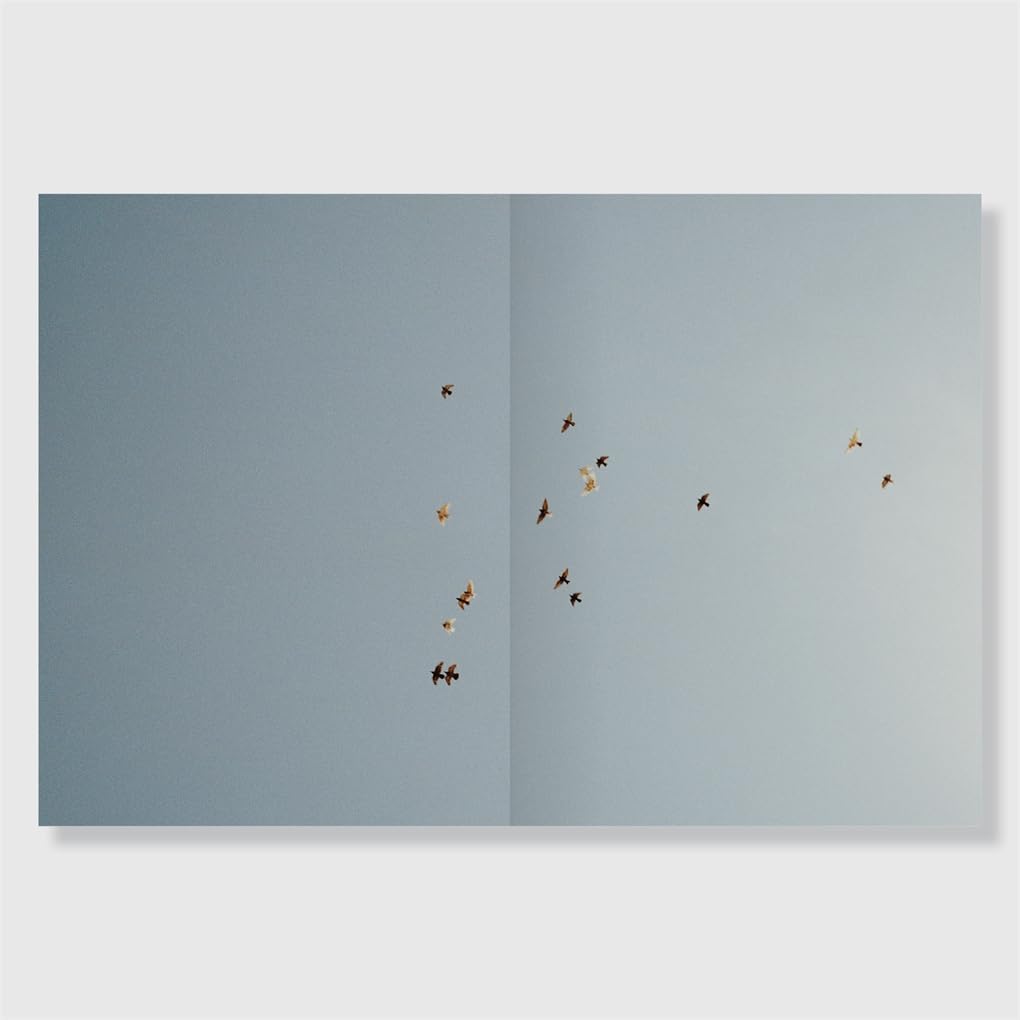 Hoda Afshar: A Curve Is a Broken Line