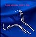 Vintage Long Earings 925 Sterling Silver Pin Tassel Fashion Jewelry for Women 2015