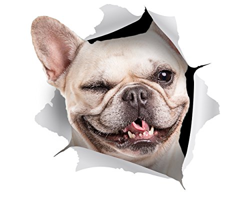 Winston & Bear 2 Pack - 3D cane Stickers - Strizza l'occhio French Bulldog Adesivi parete, frigorifero, servizi igienici e di più