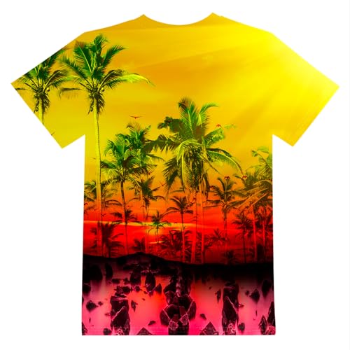Image of LAIDIPAS Boys Girls 3D Graphic T-Shirt Short Sleeve Tops Tees 6-16 Years | Kids Crewneck Shirts, Vibrant Color, Lightweight and Quick Dry, Trendy Outfits for School, Parties, vacation and Daily Wear