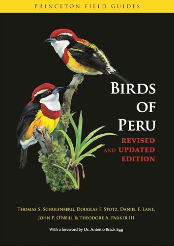 Birds of Peru: Revised and Updated Edition (Princeton Field Guides)