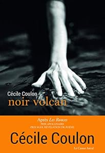 Livres Couvertures de Noir Volcan