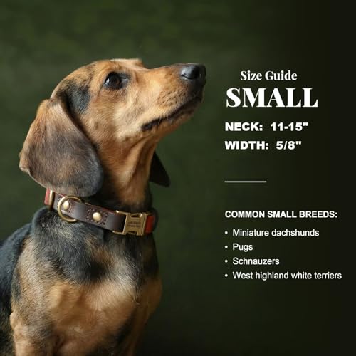 Image of Personalized PU Leather Dog Collars,Quick Release Buckle,Brown,S
