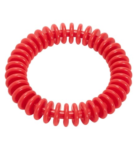 Sporti 6' Dive Ring - Red