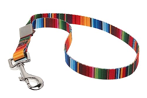 Country Brook Petz Dog & Pet 5/8 Inch Grooming Loop with Spring Loaded Clip - 18 Unique Designs for Grooming and Vet Tables (Serape)