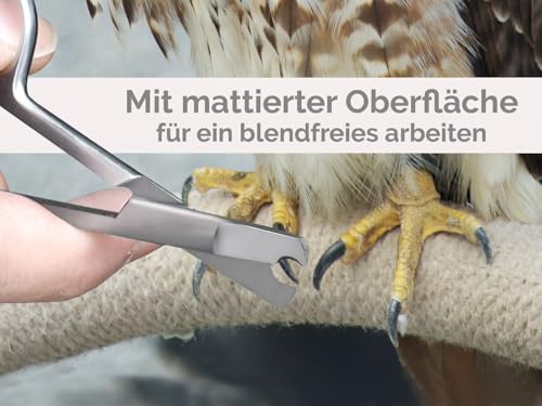 Krallenschere Wellensittiche Krallenzange Vögel gerader Krallenschneider 9,5 cm - Krallen kürzen von Papageien Sittiche Kleintiere - Rostfreier Edelstahl - Markenqualität vom Fachhandel