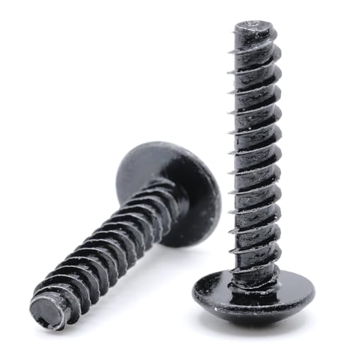 Tornillos Autorroscantes ST5 x 25mm Pan Phillips Pack 10 miniatura 7
