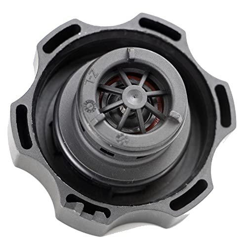 Universal Radiator Surge Tank Cap,Coolant Reservoir Cap for Chevy GMC Buick Cadillac Pontiac Saturn -Silverado 1500 2500 3500 Express Avalanche Suburban Captiva Cavalier Cobalt Equinox Malibu