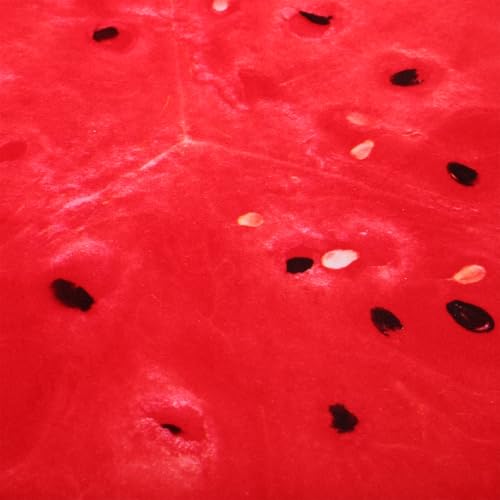 Coussin pastèque 3D peluche douce oreiller fruit coussin assise lavable - 4