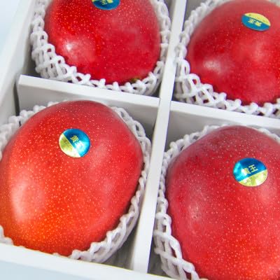 (先行受付・2026年6月から順次発送)山城フルーツ園のアーウィンマンゴー黄王2kg