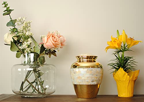 Today's A Gift Exquisite Mother of Pearl Cremation Urn for Human Ashes, Decorative Golden Brass Urn for Adults, Handcrafted Funeral Urns for Ashes, Stylish Brass Urn with Velvet Bag (9 Inches)