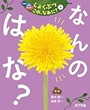 なんの　はな？５　つぼみ・たね・はっぱ・・・　しょくぶつ　これ、なあに？