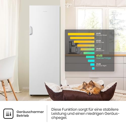 Hisense FV245N4AW2 Gefrierschrank/ TotalNoFrost/ SuperFreeze/ Türalarm/ BigBox/ 169,1 cm/ Gefrierteil 194 l/ 41 dB/ 219 kWh/ Jahr/ Inox-Look, Weiß