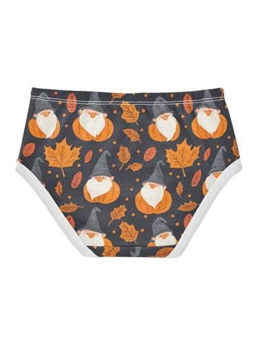 ZZKKO Fall Orange Leaves Pumpkin and Gnome Girls Underwear Toddler Panties for Girls Comfort Brief Size 2T2