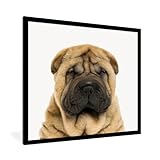 Poster encadré Chien ridé - Sharpei - Bébé - Chambre d'enfant Tableau deco avec cadre 40x40 cm affiche decoration murale