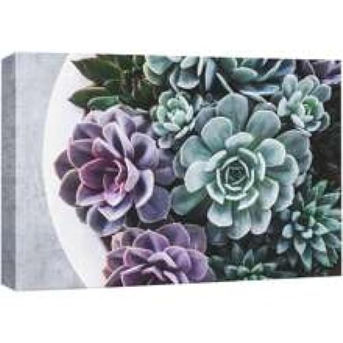 Tableau succulentes floral violet et vert pour décoration murale salon moderne 80x120cm