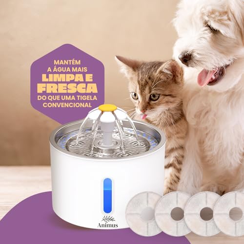 Kit Bebedouro Tipo Fonte 2,4 L Com Filtro Animus Bem Estar Healthy Pet INOX+ 4 Filtros extras para g