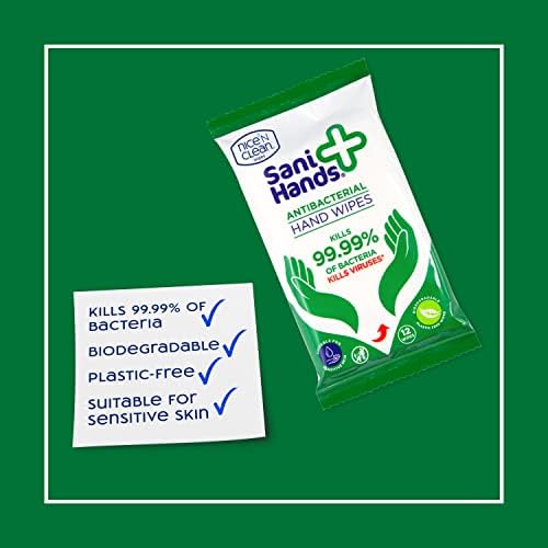 Sani Hands - Anti-bacterial Hand Wipes - Dermatologically Tested, Biodegradable Wet Wipes - 10x12 Wipes (120 Wipes)