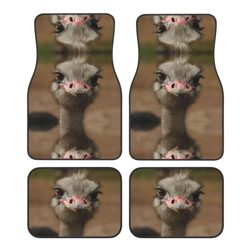 Tapis de voiture motif autruche premium - Set de 4 protections universelles pour SUV et berline