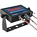 Global Industrial NTEP Pallet Scale, LED Indicator, 4'x4', 10,000 lb x 2 lb