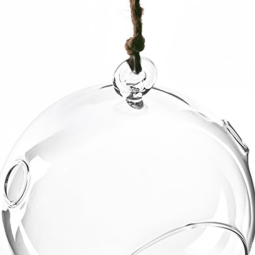 Cys Excel Hch0105_12, 5.5" Tall X 5" Wide,Pack #TOP2