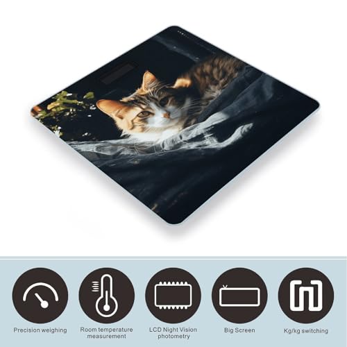 Báscula digital de cuerpo alta precisión Resting Cat miniatura 3